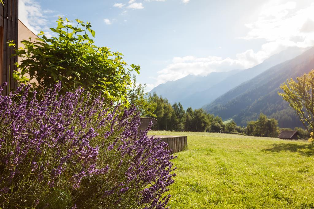 Ferienhaus Alpin Neustift im Stubaital Luaran gambar
